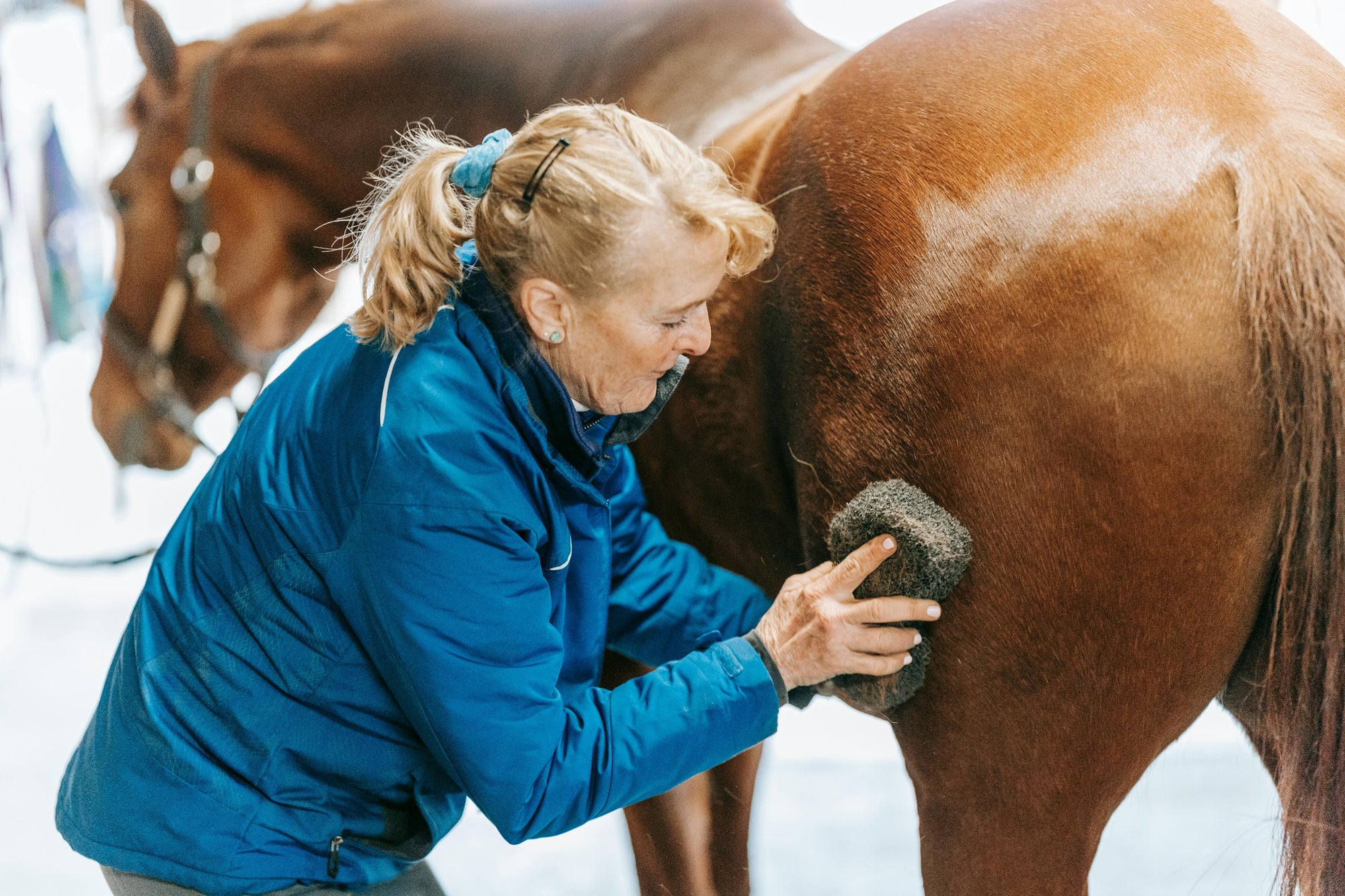 Understanding horse grooming products