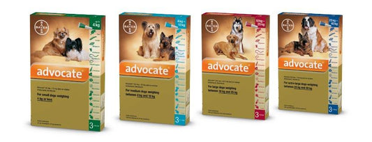 Advocate spot on for dogs between 10 - 25Kg (pack of 3)