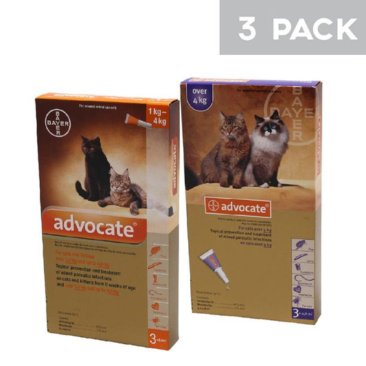 Advocate spot on for cats up to 4Kg (pack of 3)
