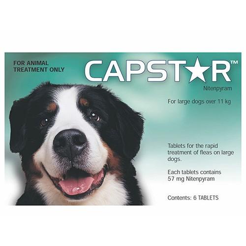 Capstar Large Dog 6 Tabs