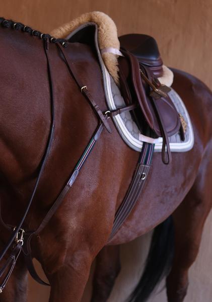 Espoir 3 Point Breastplate with Signature Elastic Brown