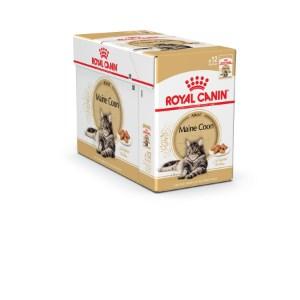 Royal Canin Maine Coon Sachets Each