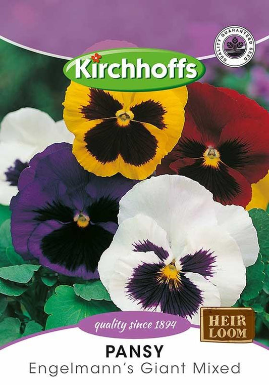 Flower Seed - Pansy Giant