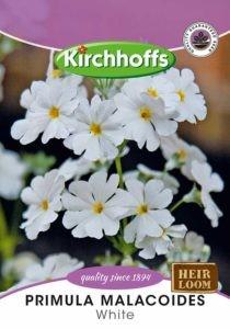 Flower Seed - Primula White