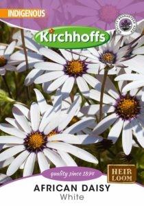 Flower Seed - African Daisy White