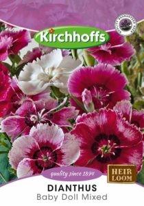 Flower Seed - Dianthus