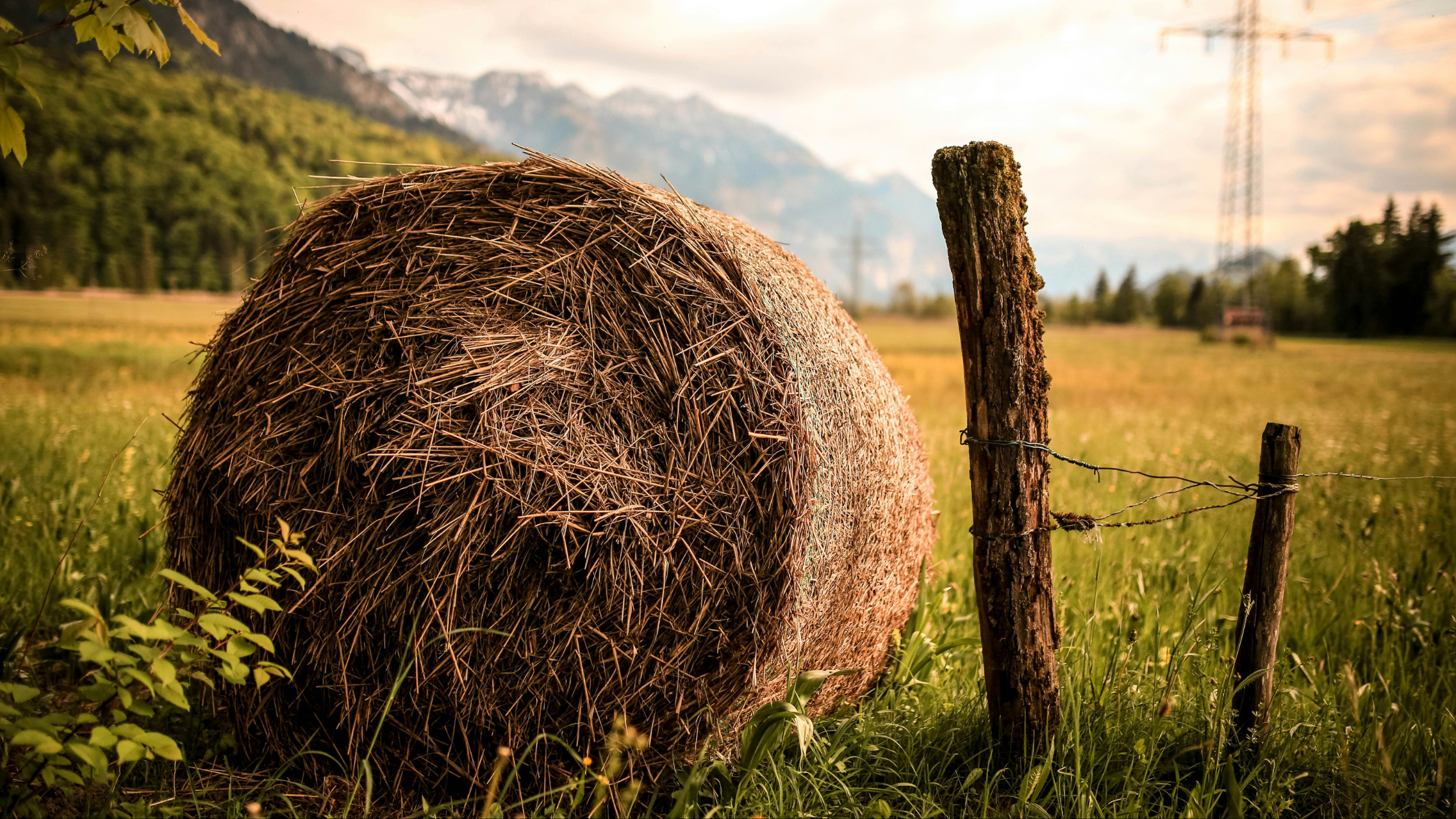 The advantages of HAYGAIN: Five US Top 10 Eventers are Hay Steamers