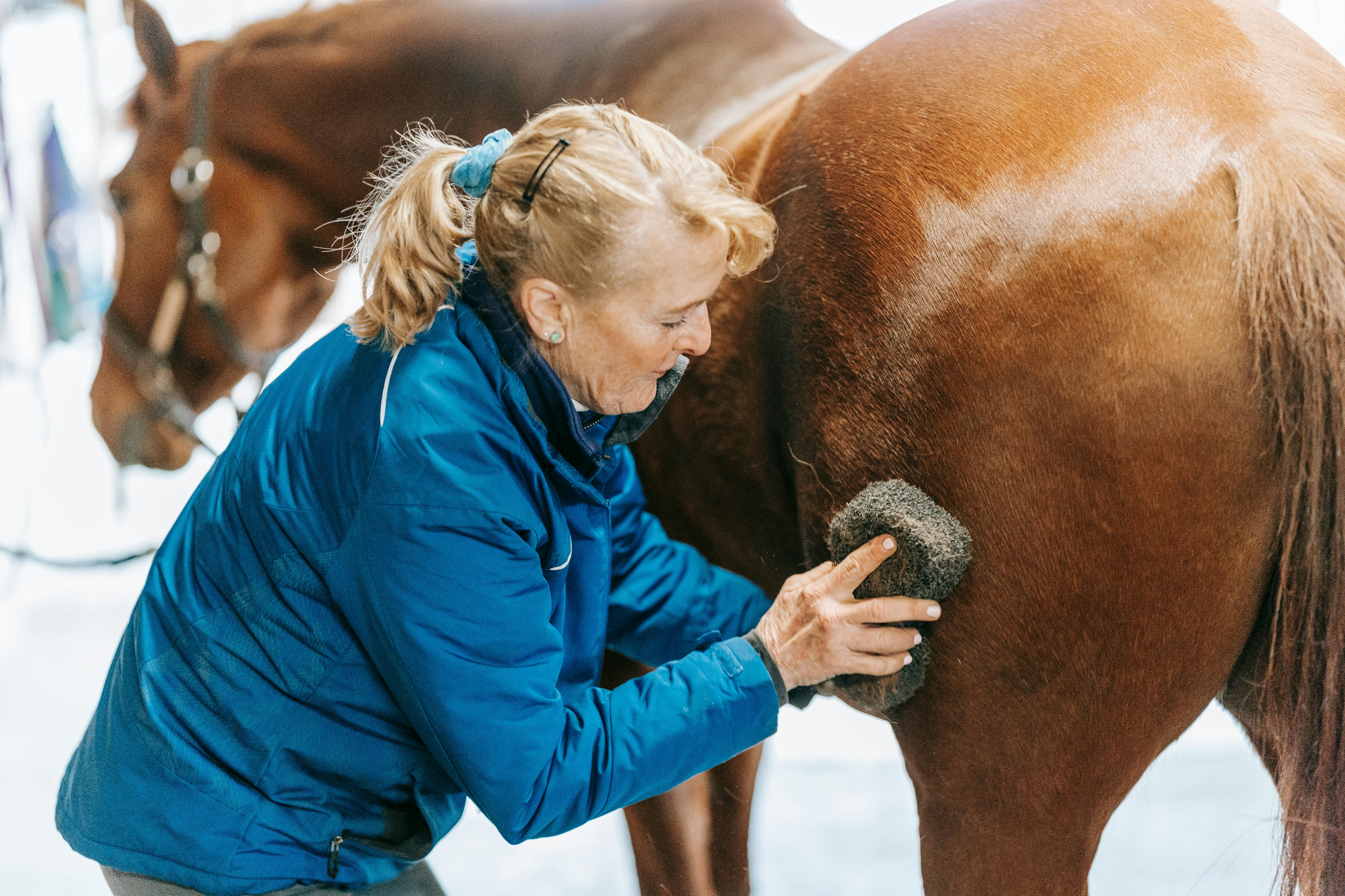 A photo of a lady grooming her horse 