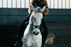 A photo of a horse and rider with Midfeeds gear