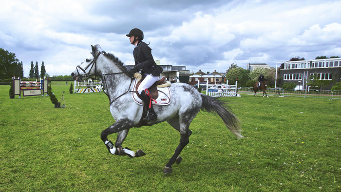 Essential products for equestrian safety