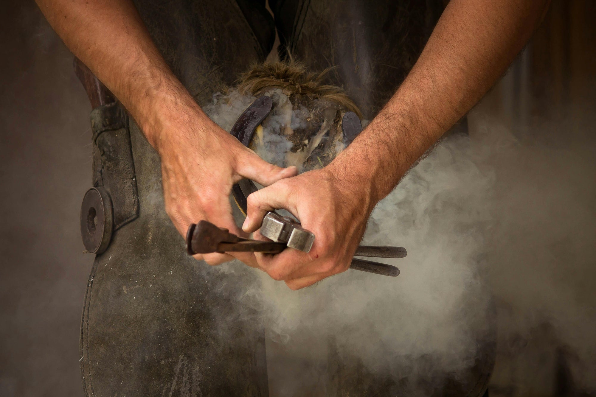 The role of hoof care products