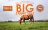 Midfeeds & Tack 'n Togs 2024 Spring Sale