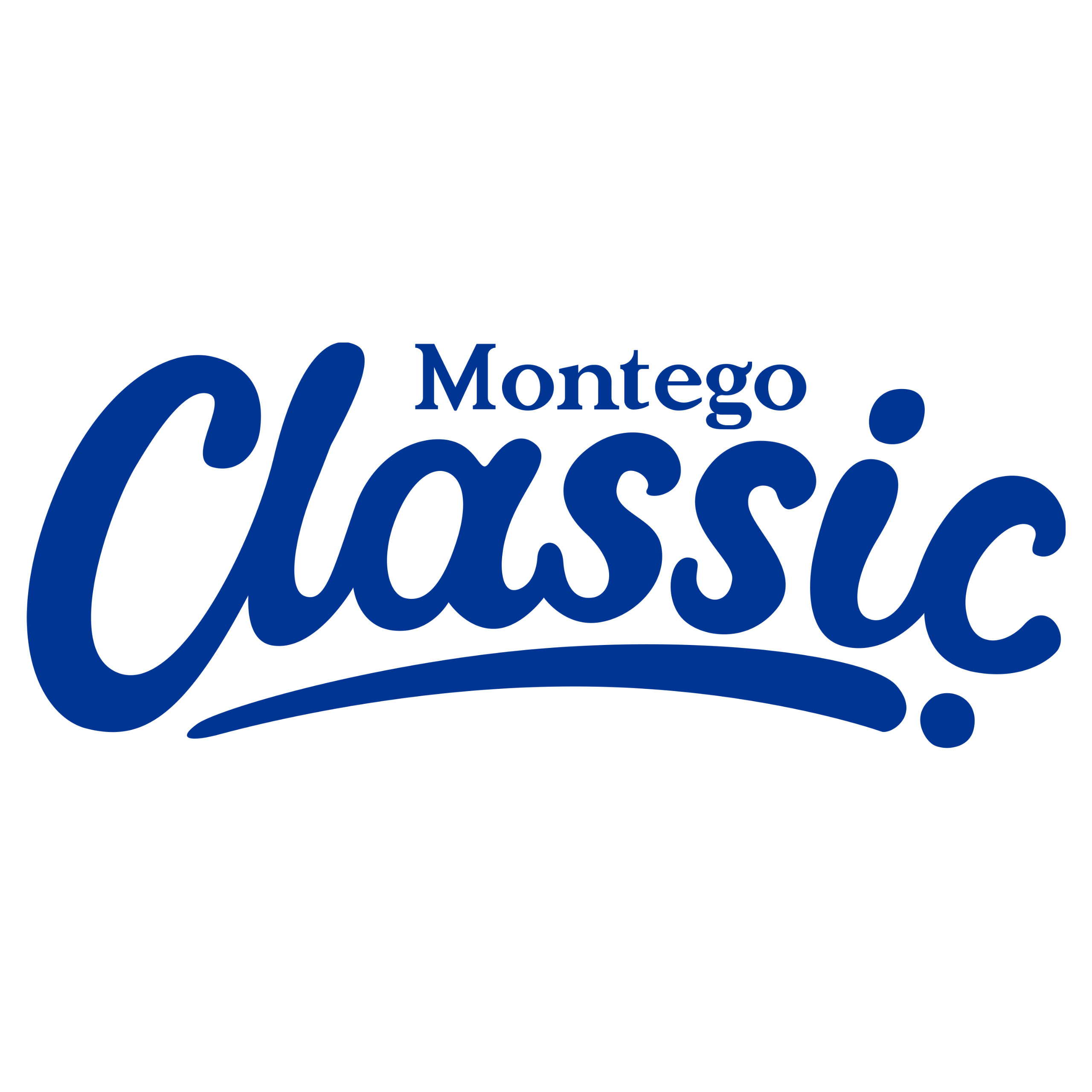 montego classic dog food