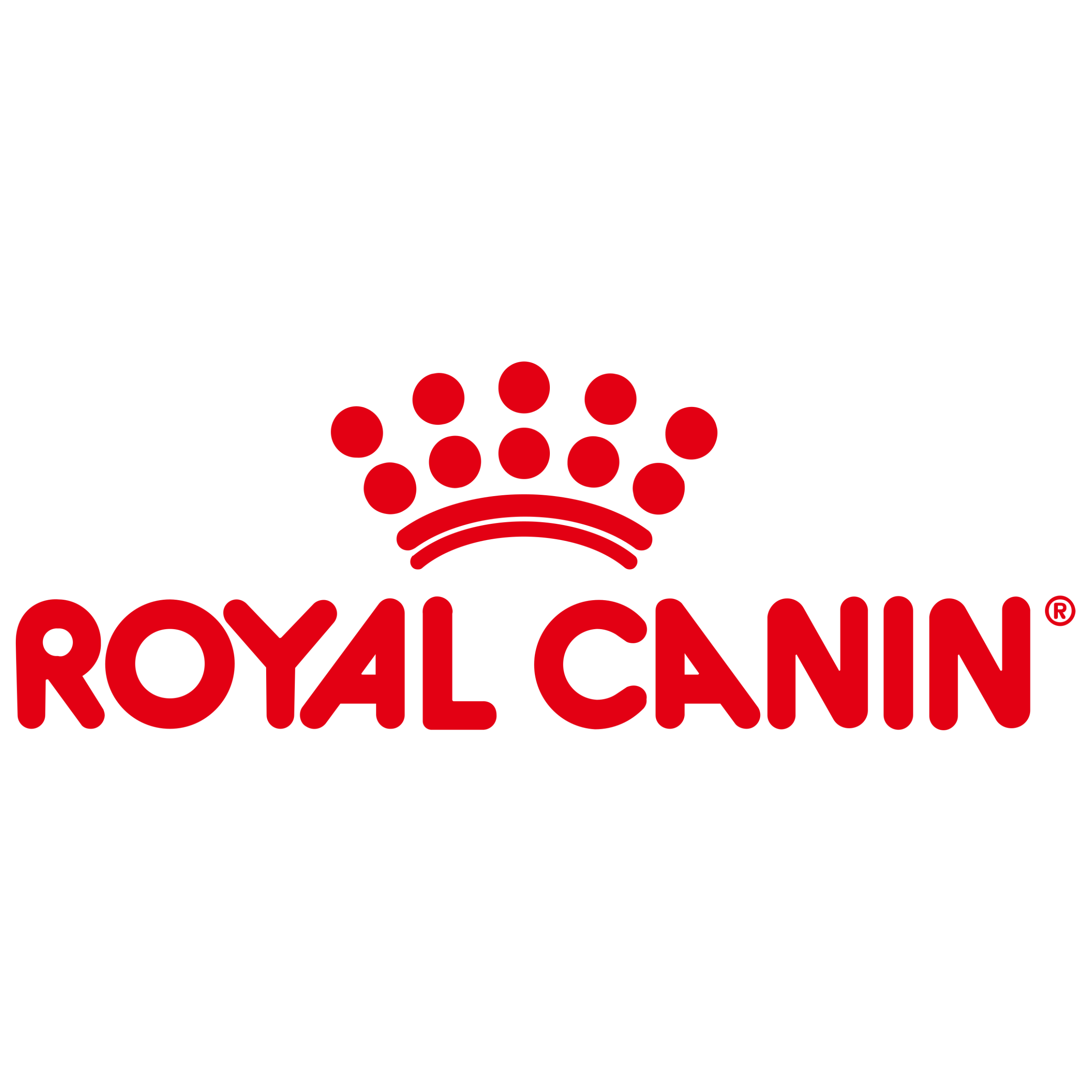 royal canin dog food