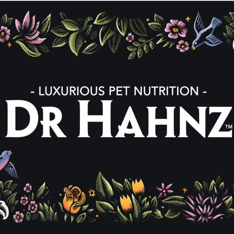 Dr Hanz