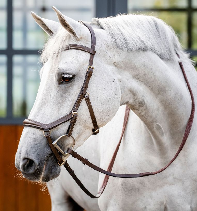 Bridleware