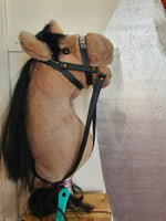 Hobby Horse