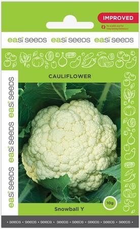 EASI SEED - CAULIFLOWER SNOW BALL Y