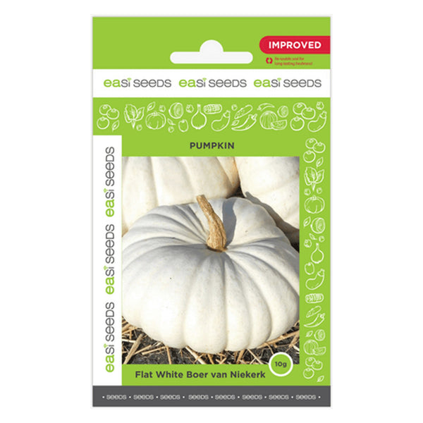 ES - PUMPKIN FLAT WHITE BOER