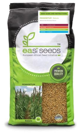 ES - PENNISETUM BABALA 1KG