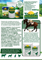 Moringa Feed Supplement