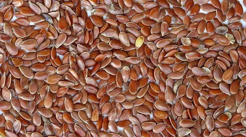 LINSEED 25KG