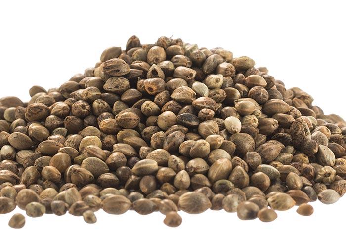 HEMP SEED 25KG