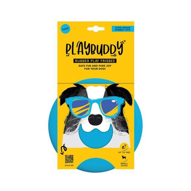 Toy Playbuddy Frisbee Small Blue