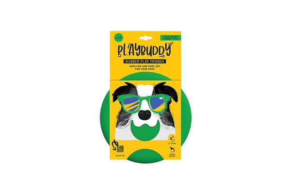 Toy Playbuddy Frisbee Small Green.