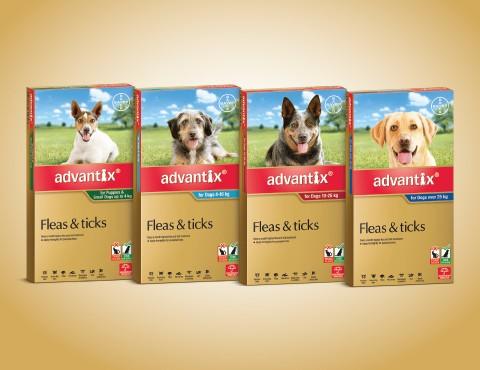 Advantix spont on for medium dogs 4-10kg (pack of 3)