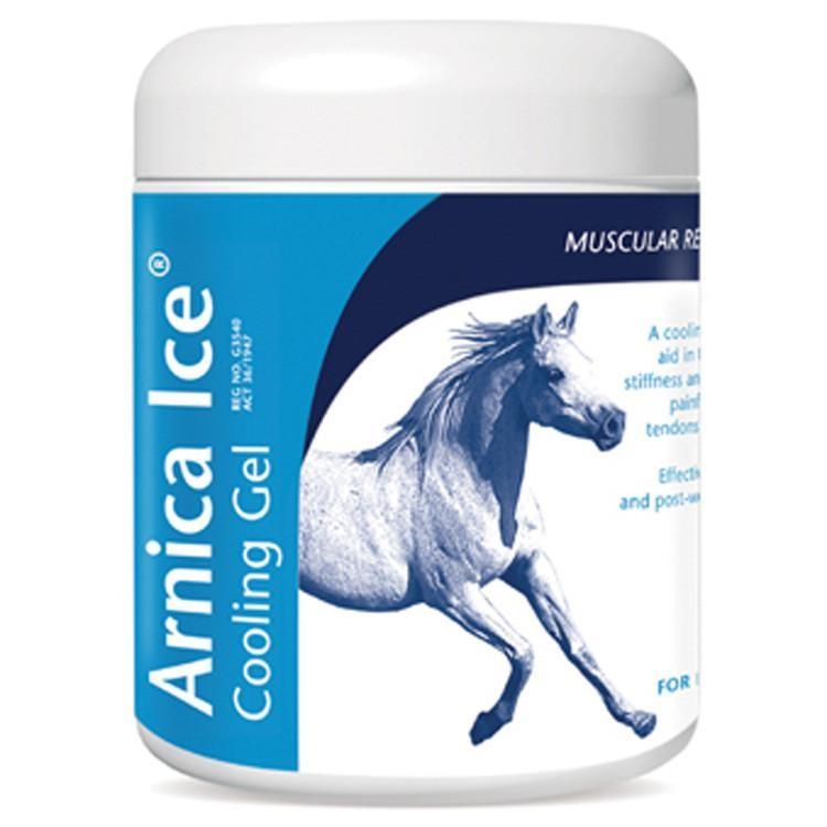 Arnica Ice 475Ml