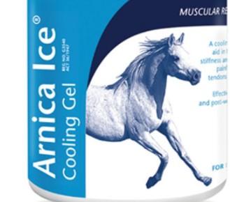 Arnica Ice 2.5Kg