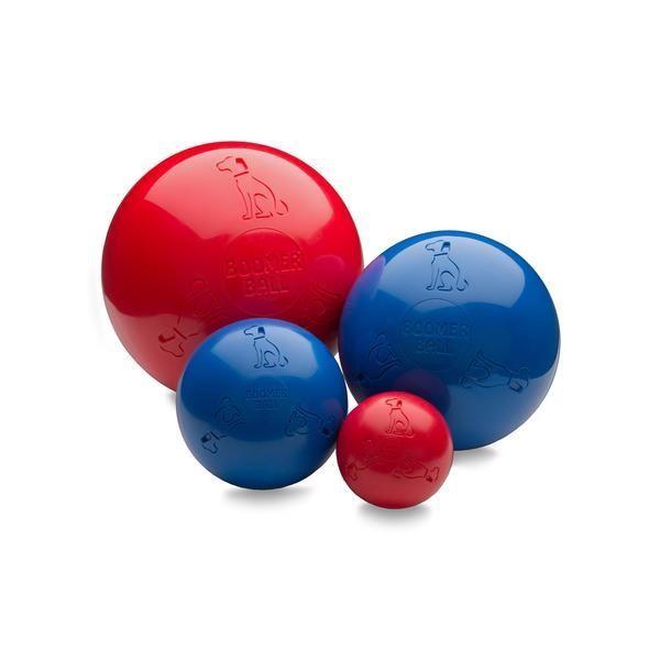 Boomer Dog Ball 10" (250Mm)
