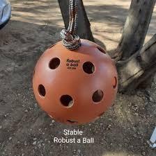 Robust A Ball Stable with Rope
