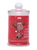Chrismas Cranberry Candle Med