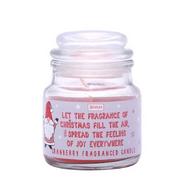 Chrismas Cranberry Candle Sml