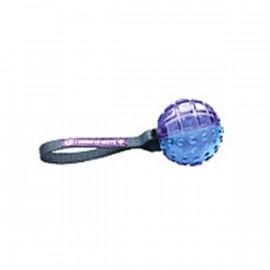 Regular Ball Push To Mute Purple/Blue