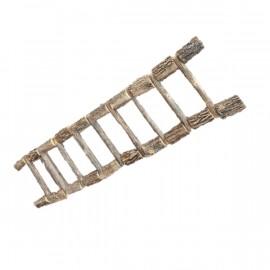 9 Step Parrot Ladder