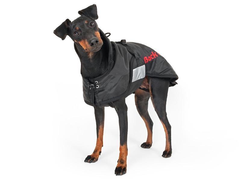 Back On Track Standard Dog Rug