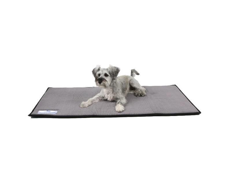 Dog Day Mat (Small) Memory Foam