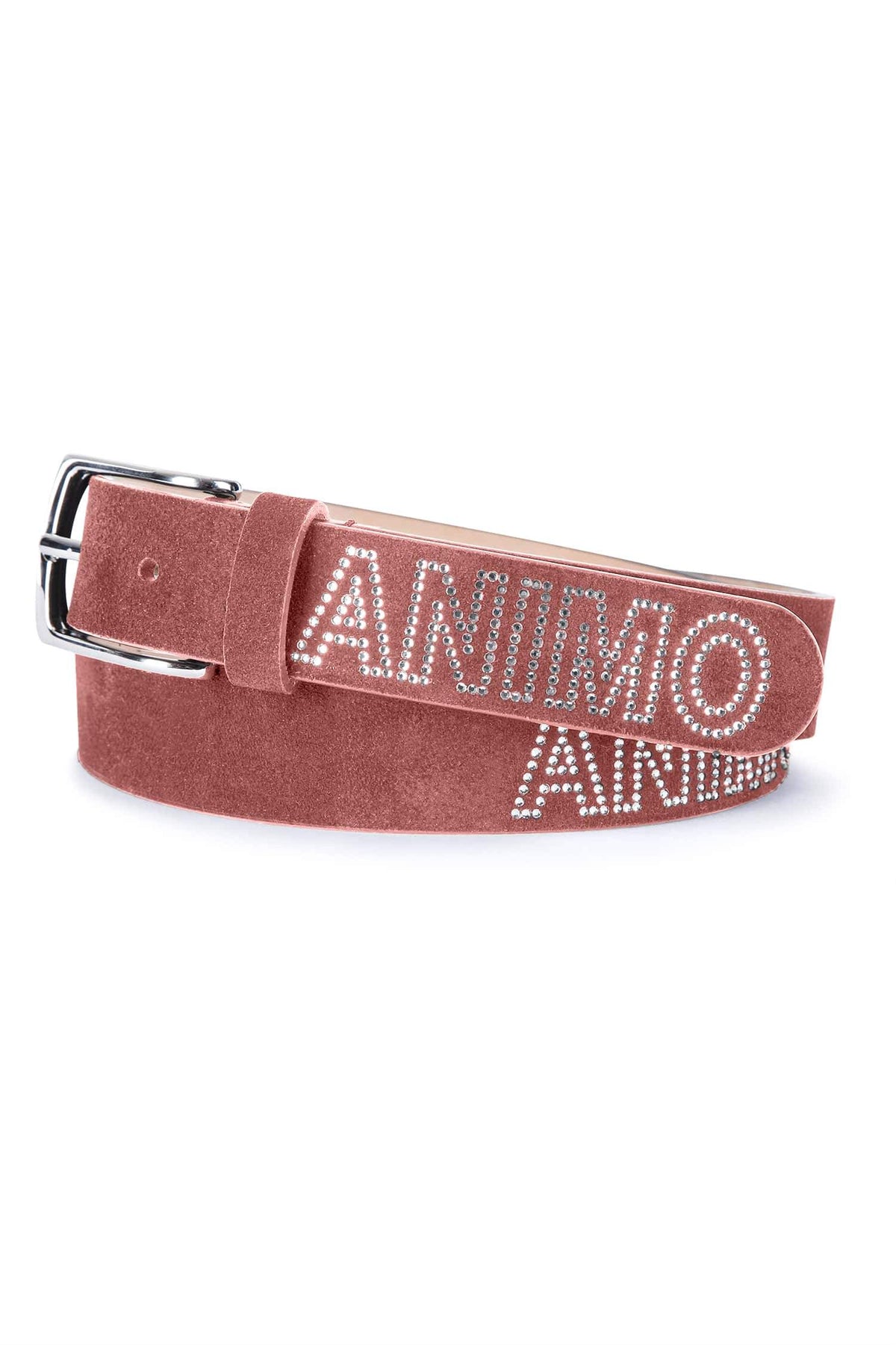 Animo Belt Halus Begonia