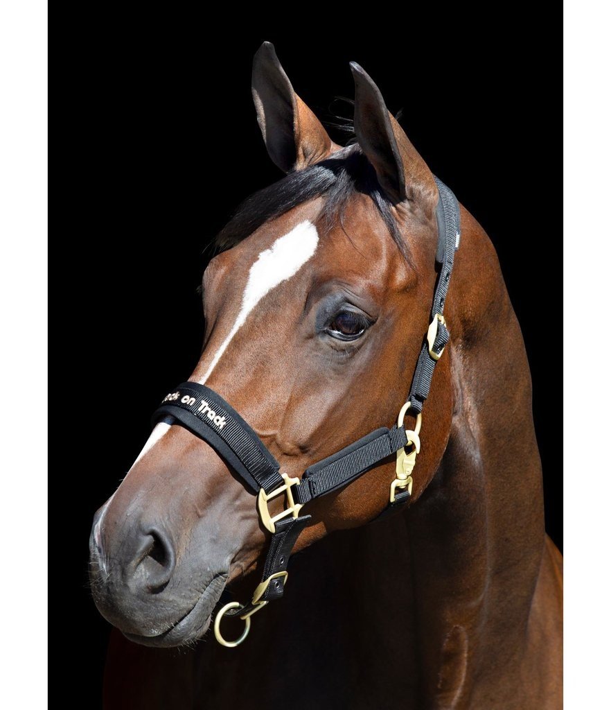 Back On Track Werano Halter