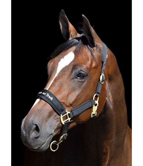 Back On Track Werano Halter