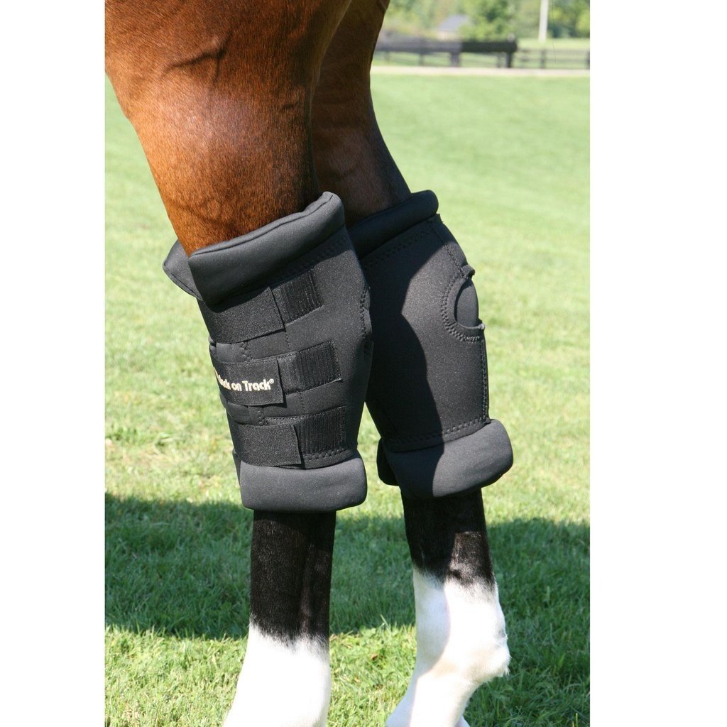 Back on Track Royal Hock Boot Pair
