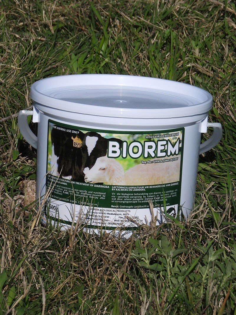 Biorem 500G