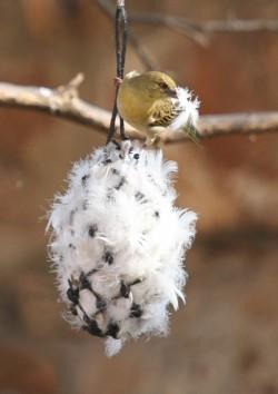 Bird Nesting Bag