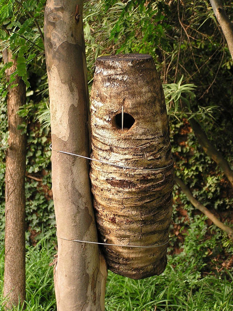 Bird - Sisal Logs