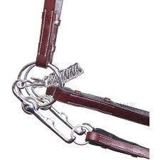 Neue Schule Slimma Swales Pelham