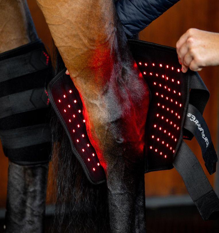 Hwi Led Hock Wrap Set