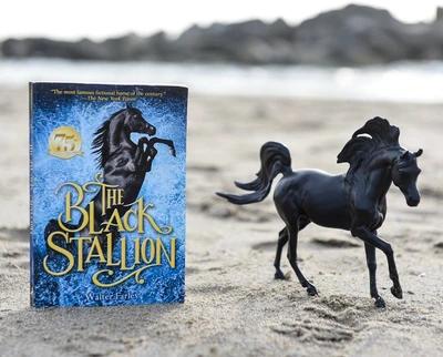 Breyer- Black Stallion Horse + Book